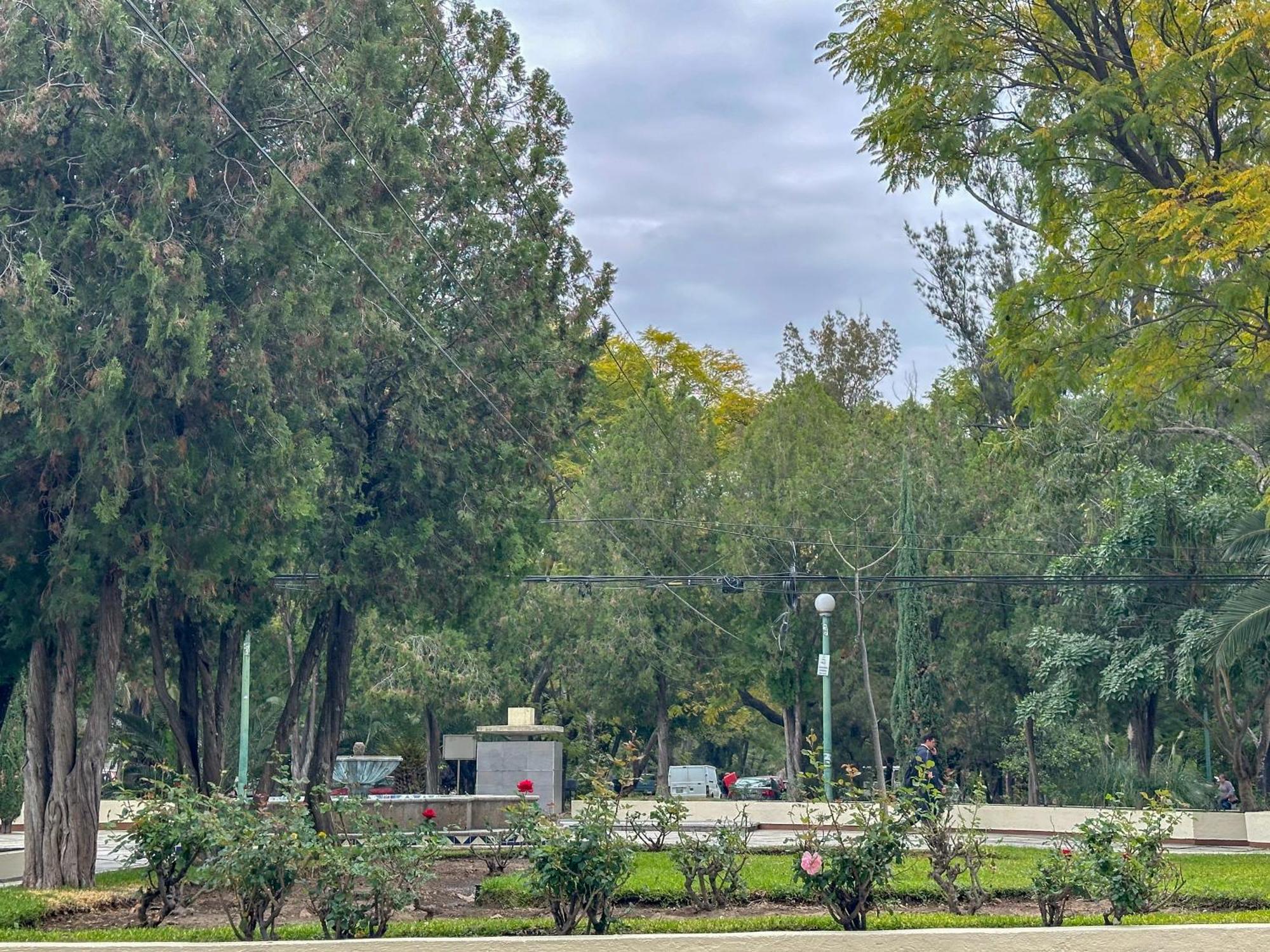 Suite Con Terraza En En El Corazon De Chapalita 11 Guadalajara Dış mekan fotoğraf
